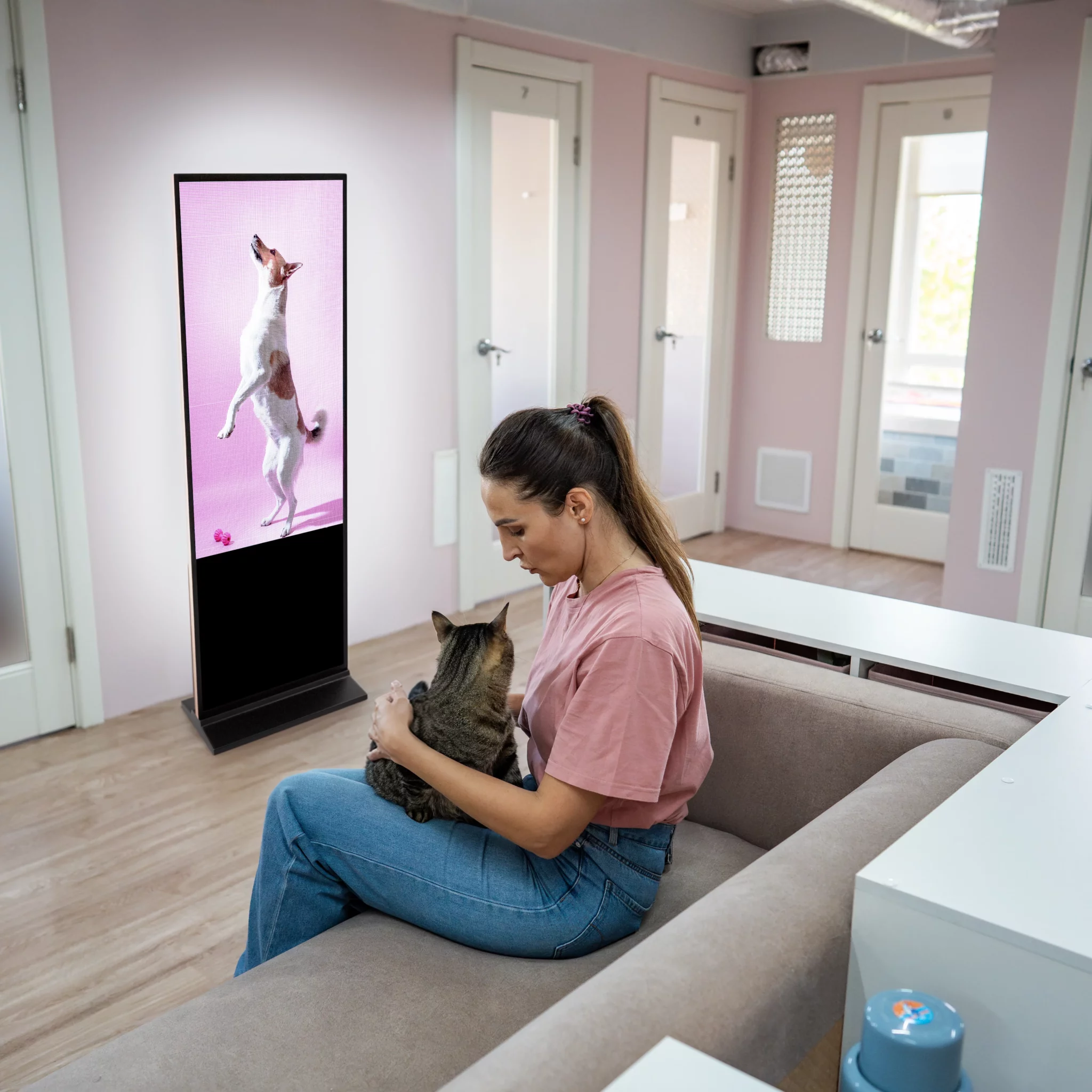 PLV dynamique chez un vétérinaire